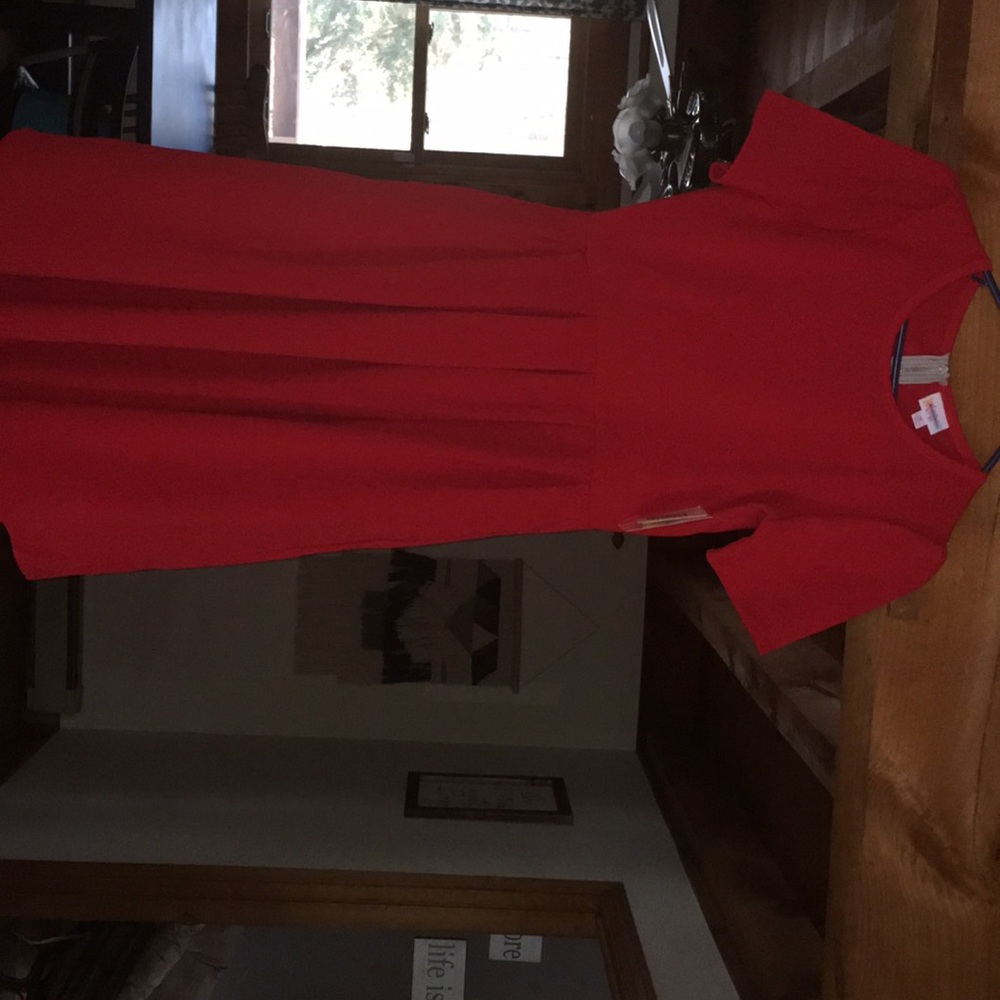 LuLaroe Amelia dress